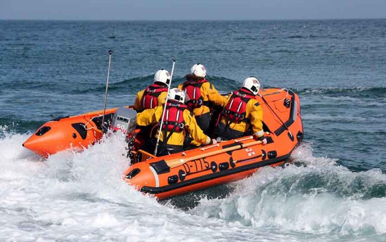 Newcastle RNLI Save Calf That Fell Off Cliff