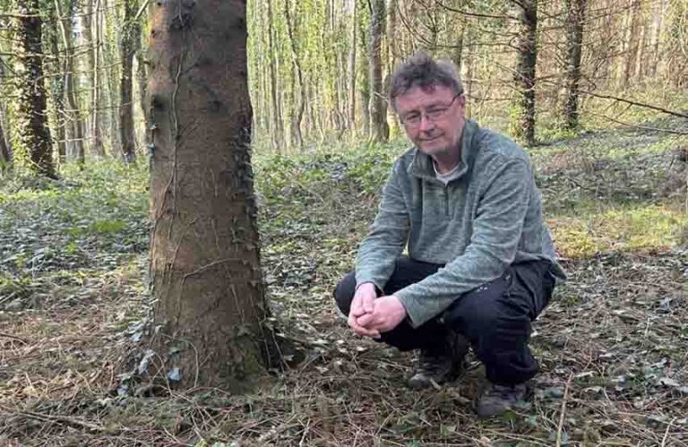 Try Forest Bathing At Finnebrogue Woods