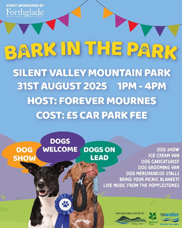 Join In The Fun At the Bark In The Park