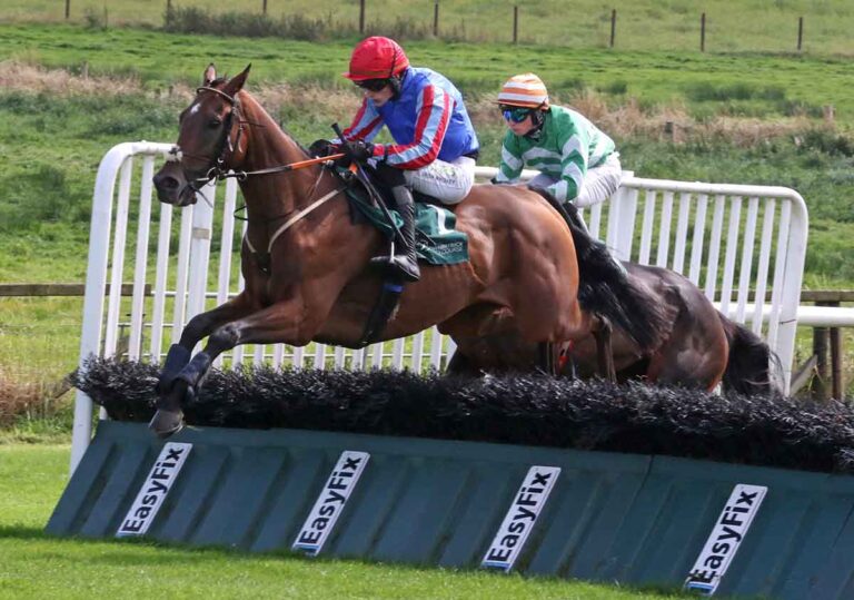 Ladies Day Winners At Downpatrick Racecourse