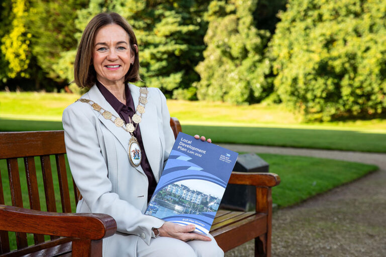 Down Councils Unveil Draft Development Plans