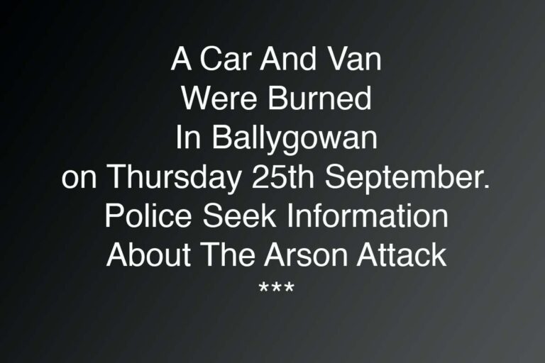 Police Inquiry After Ballygowan Vehicle Arson
