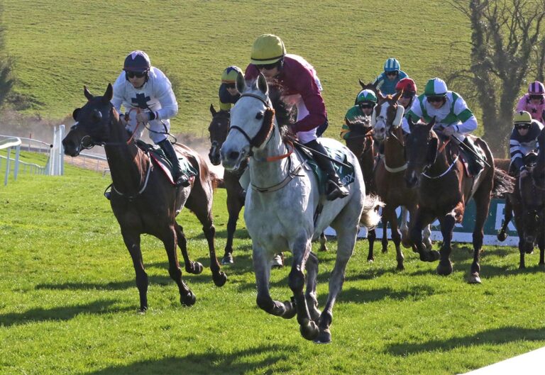 Downpatrick Races 19th September Preview