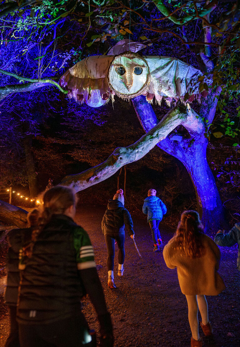 Footsteps In The Forest Another Great Success