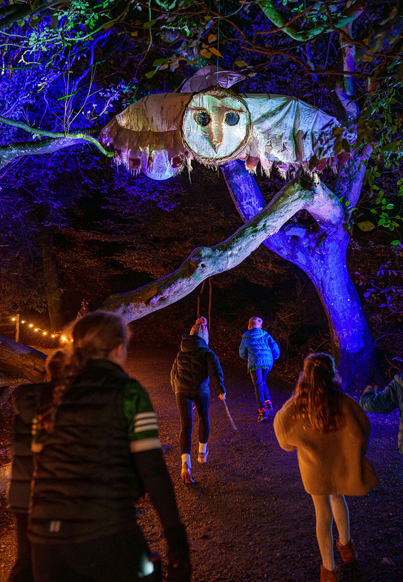 Footsteps In The Forest Another Great Success