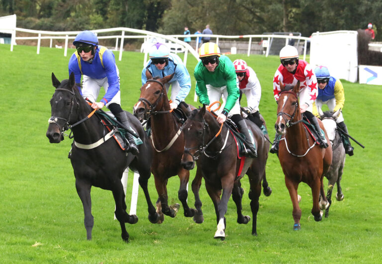 Last Meeting At Downpatrick Races For Season