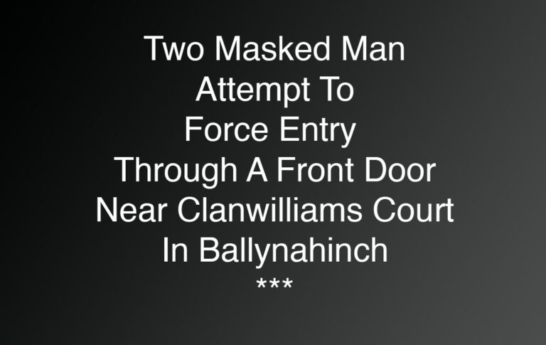 Attempted Burglary In Ballynahinch