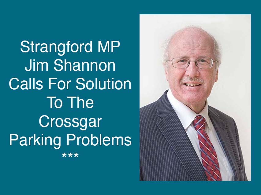 Shannon Calls For Safer Parking In Crossgar