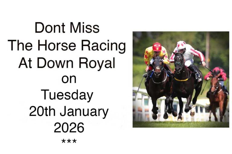 Down Royal Preview For Molson Coors Race Day