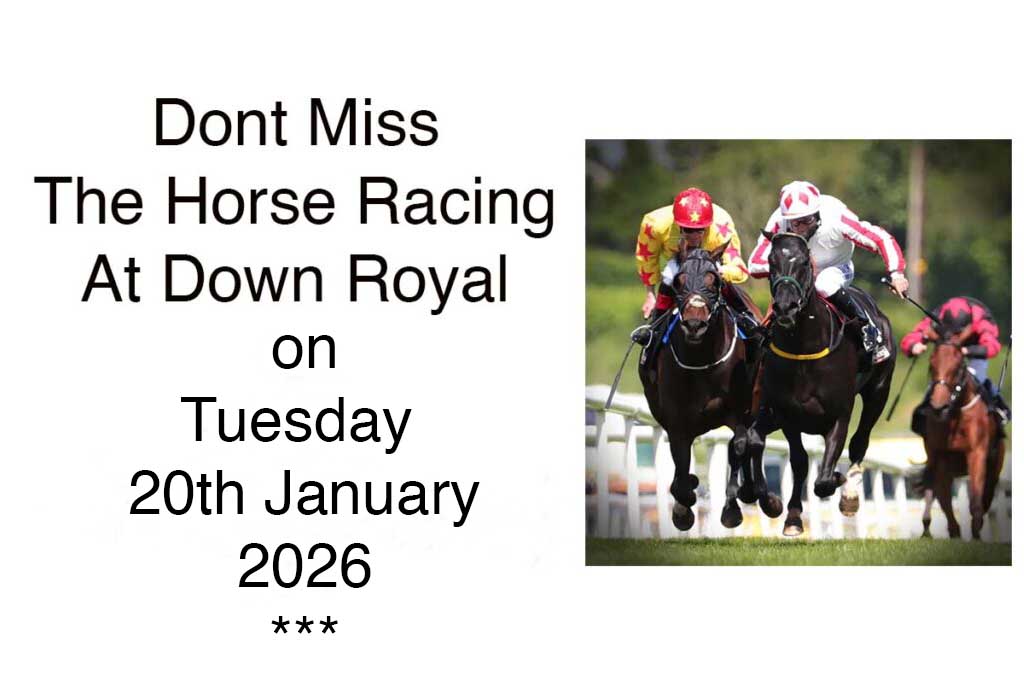 Down Royal Preview For Molson Coors Race Day