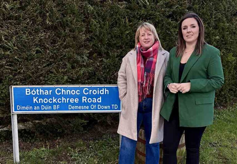 Knocknashinna Footpaths Need Fixed: Mason