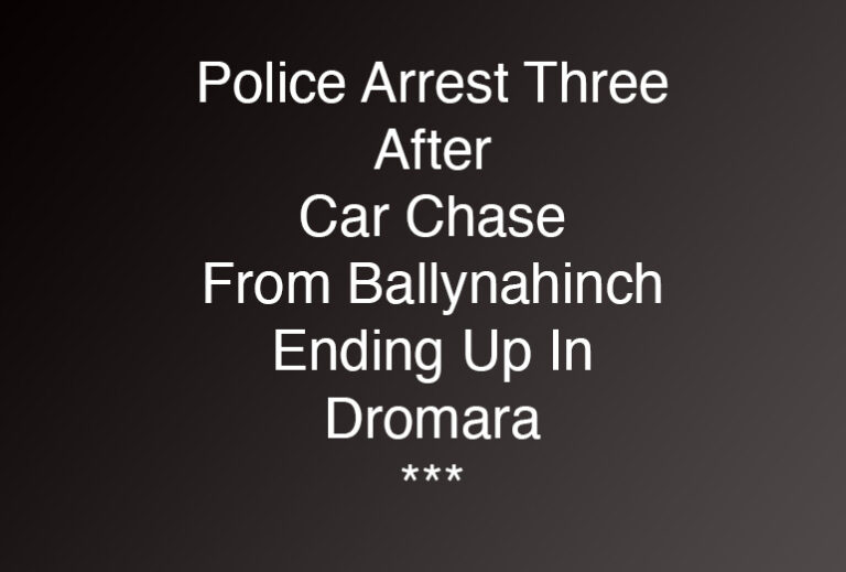 Police Arrest Three After Early Morning Pursuit