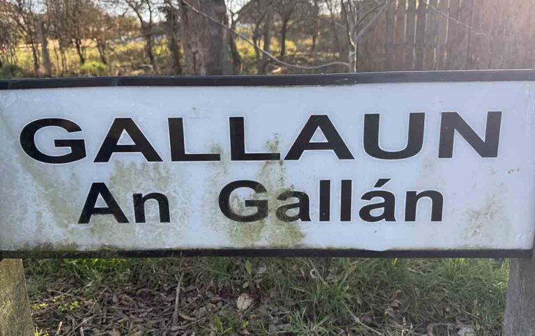 Police Inquiry After Downpatrick Gallaun Fire