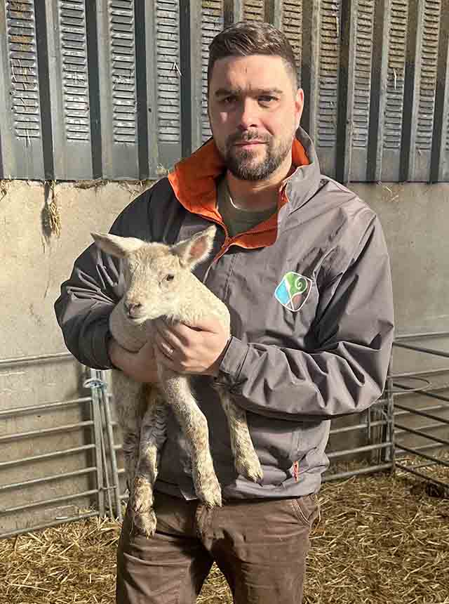 Lewis Calls For Better Dog Control Near Sheep