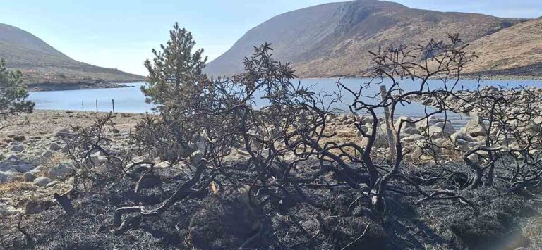 Fire Risk In The Mournes Warns NI Water Fire Risk In The Mournes Warns NI Water