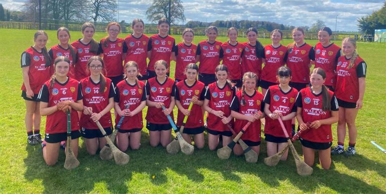 Senior Down Camogs Through To Ulster Semi