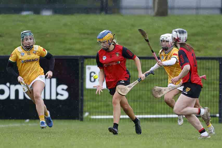 Down Camogs Falter In All-Ireland Semi-Final