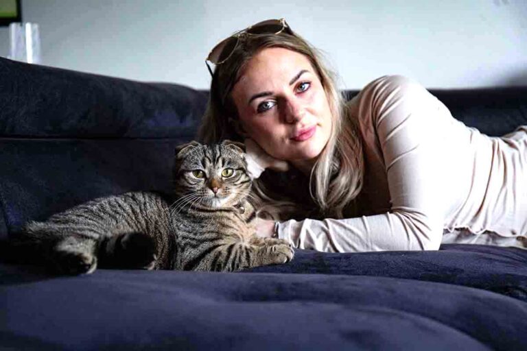Cats Protection Concerned Over Fashion Breeds