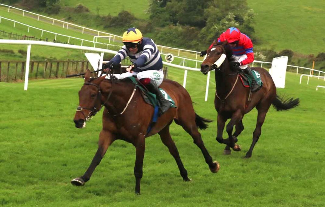 Downpatrick Racecourse Set For Busy Weekend