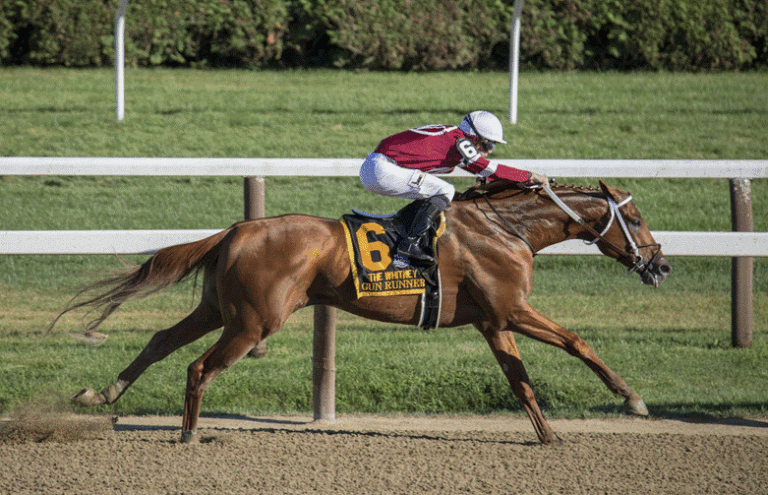Preakness Stakes 2026 Betting Guide and Top Contenders