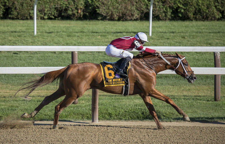 Preakness Stakes 2026 Betting Guide and Top Contenders