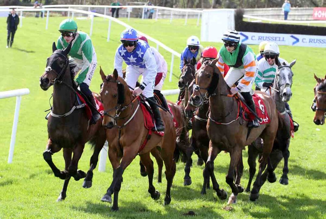 Downpatrick Races Preview And Tips For Friday