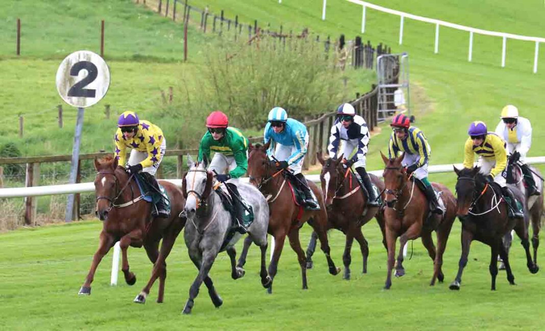 Downpatrick Races Preview For Friday Night