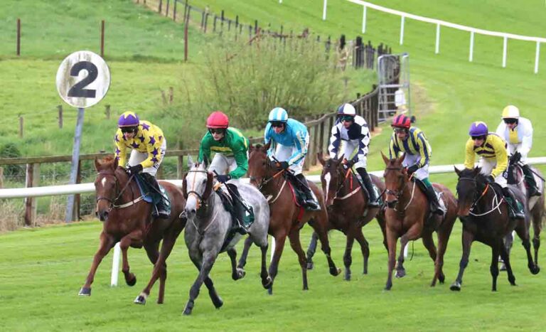 Downpatrick Races Preview For Friday Night