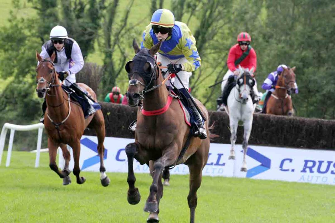 Weekend Races In Downpatrick Draws Crowds