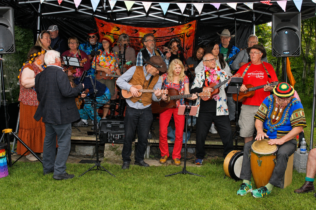 Turnip House Buzzes With A Ukeahooley