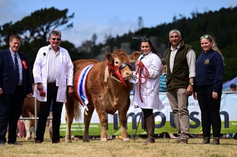 Bumper Crowd Turns Up To Castlewellan Show