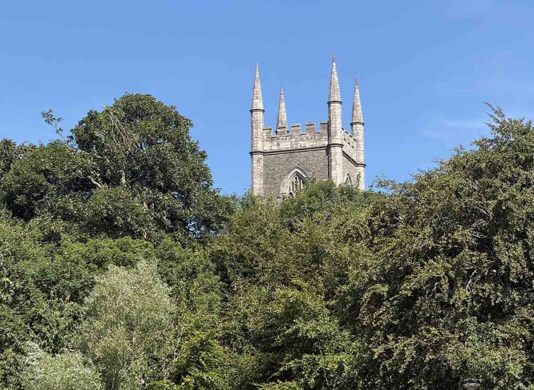 Have Your Say On The Tree Protection Bill Consultation