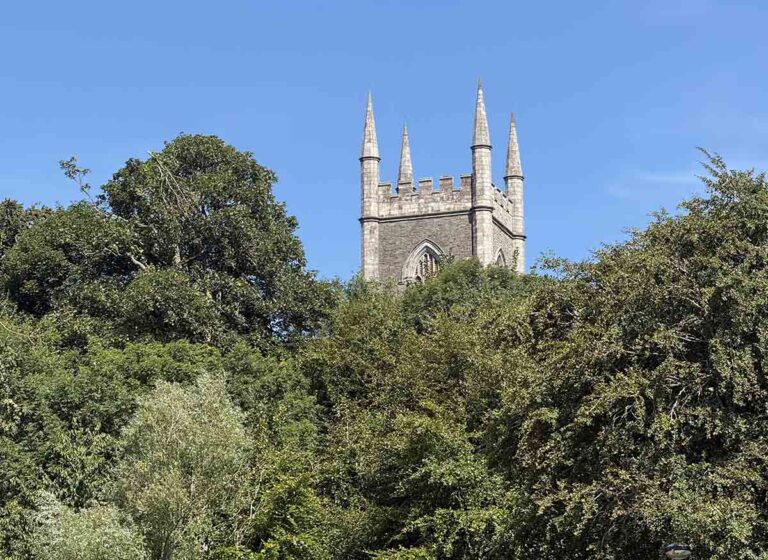 Have Your Say On The Tree Protection Bill Consultation