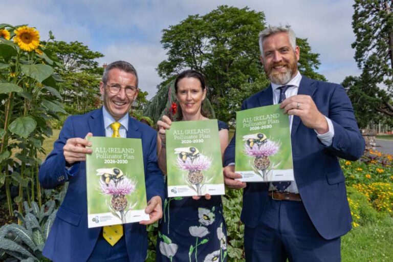 All-Island Pollinator Plan For A Nature Pockets Network