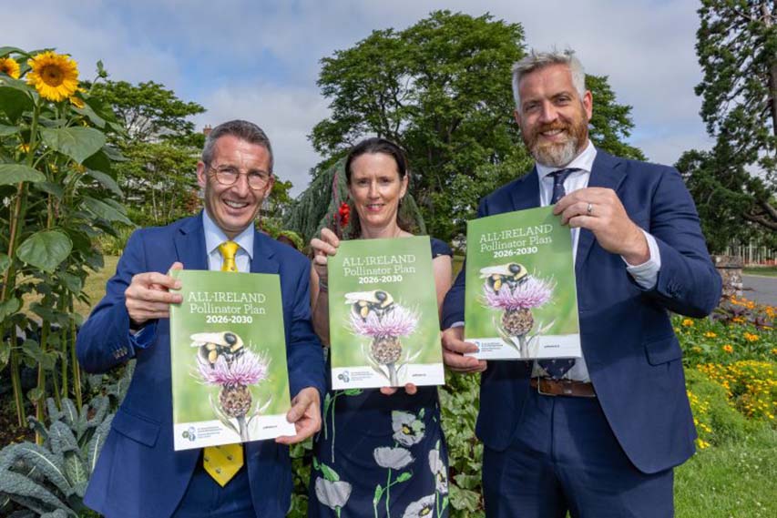 All-Island Pollinator Plan For A Nature Pockets Network