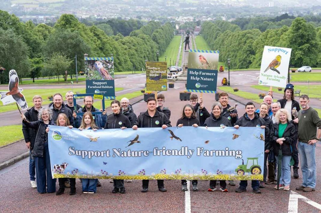 RSPB Supports Public Call For Nature Friendly Farming