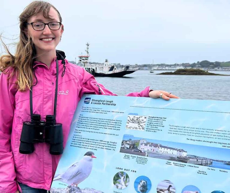 Masters Student Builds Research On Council Programme