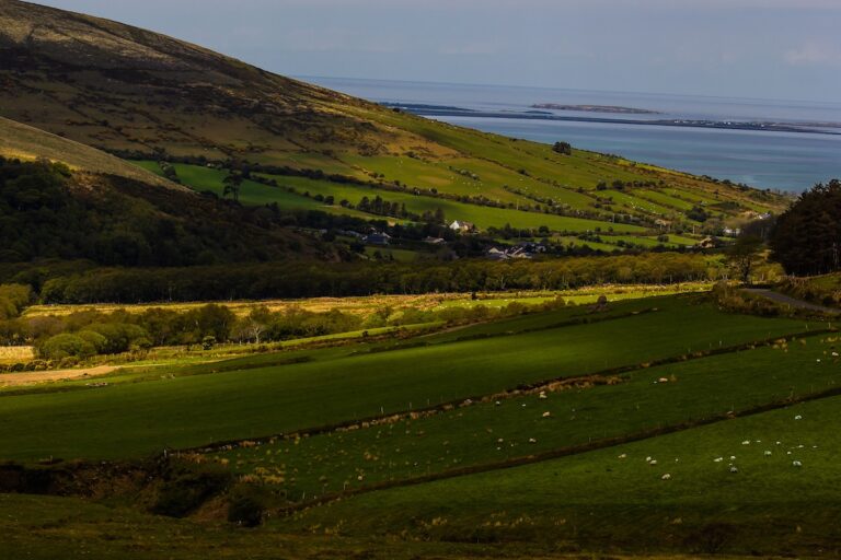 7 Things To Do On A Rainy Weekend In County Down