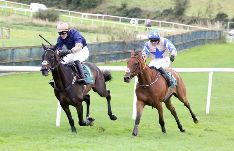 Downpatrick Racecourse Report For Ladies Day Meeting