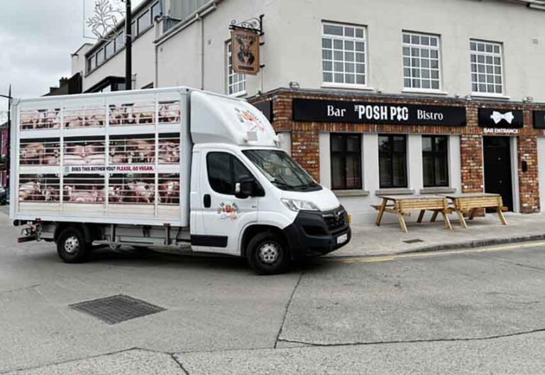 Animal Activist Group PETA Visits Newry