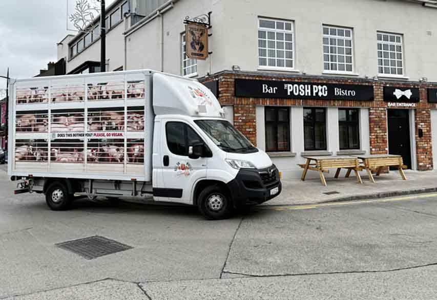 Animal Activist Group PETA Visits Newry