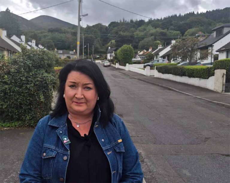 Truesdale Calls For Improved Gully Cleaning In Newcastle